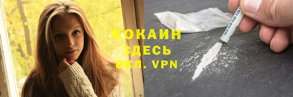 дмт Инсар
