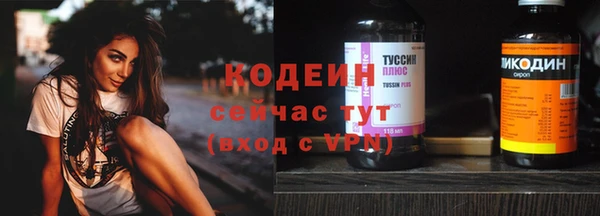 дмт Инсар