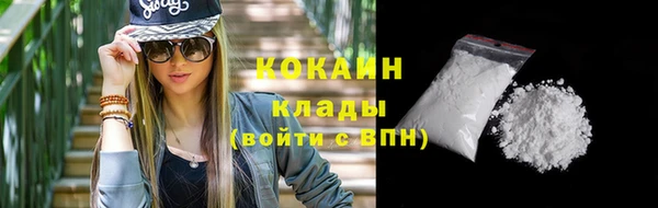 прущие грибы Иннополис