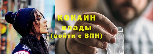 прущие грибы Иннополис