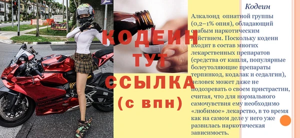дмт Инсар