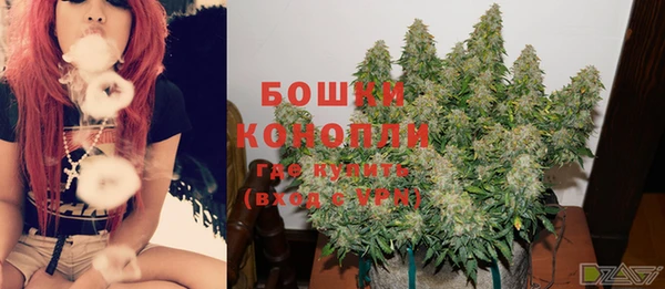 кокс Инта