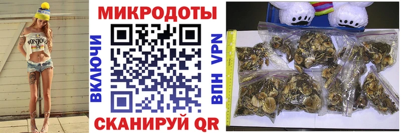 Псилоцибиновые грибы GOLDEN TEACHER  Купить закладки  Ногинск 